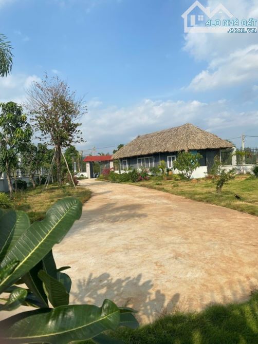 Bán Đất 2 MT View Sông Ngay NGuyễn Xiển 20x40=800m2 Giá 28 TỶ - 9