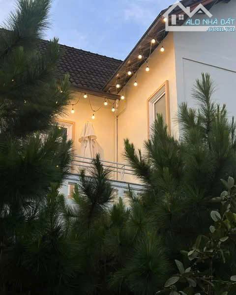 Villa sân vườn view đẹp MT Triệu Việt Vương 1334m2, P4 Đà Lạt giá 60 tỷ - 9