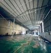 cho thuê kho xưởng tại kiêu kỵ gia lâm. DT. 7000m2 có cắt lẻ 500m và 1000m2 có pccc bảo ve