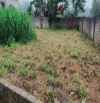 Bán đất vân hòa Ba Vì Hà Nội  1620m2 _ 200m2 thổ cư giá 4,5tr/m2