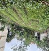 CỔ Điển _HẢI Bối _Đông Anh 250m2 Đất _Mặt tiền Siêu đẹp 18m  = Hậu . Ô Tô 7 chỗ vào đất