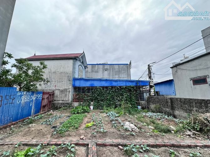 🌻Lô đất 62m² tại Hoàng Mai - Đồng Thái - An Dương - giá chỉ 1,65 tỷ - ô tô thoải mái