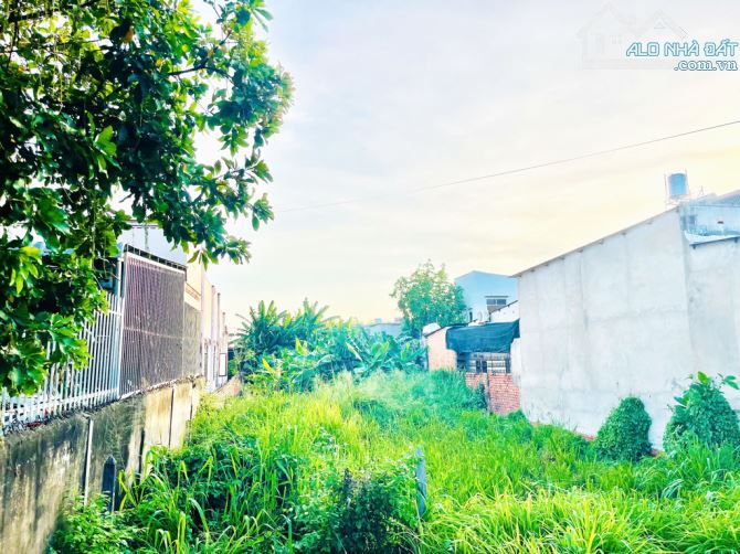 Đất đường Nguyễn Kim Cương - 499m2 - 10x50 - 413m2 thổ cư - xã Tân Thạnh Đông - Củ Chi