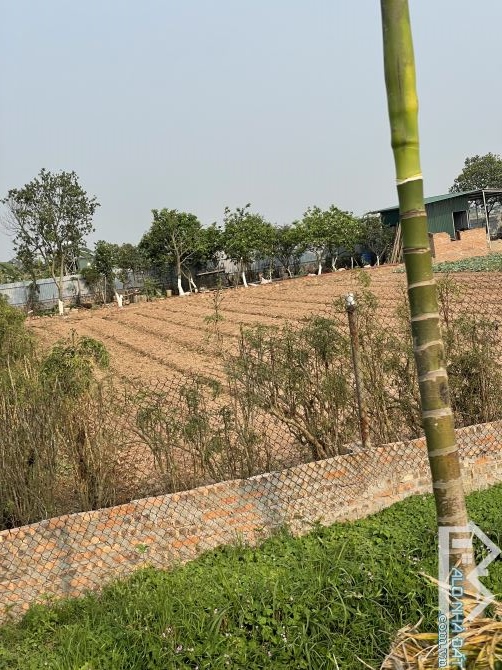 NHỈNH 2tỷ - 1156m2 BÁN ĐẤT GIA LÂM HÀ NỘI - Porcher TRÁNH BMV