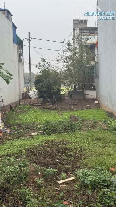 BÁN GẤP ĐẤT PHÂN LÔ OTO TRÁNH PHÚC TIẾN BIÊN GIANG HÀ ĐÔNG ĐẸP XUẤT SẮC - 4,1 TỶ - 50M2