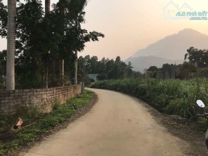 Chủ Cần Bán Gấp Lô Đất Tại Vân Hoà Giá Tốt, Khu Vực Cực Tiềm Năng