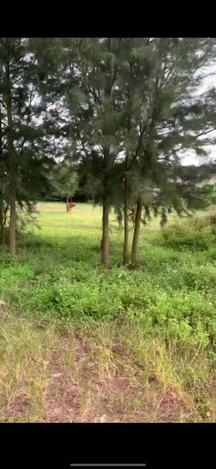 Bán 10.000m² đất thổ cư + trang trại tổng hợp cực đẹp tại Đông Sơn, Đông Hưng, TB