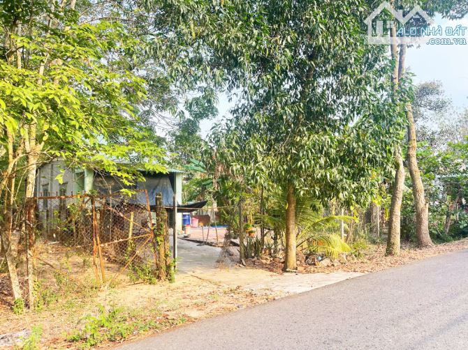 Bán nhà vườn đường 695 - 597m2 - 14x43 - 300m2 thổ cư - xã Thái Mỹ - Củ Chi