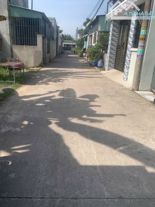 Siêu phẩm đang đồng tiền bát gạo An Phước - long thành - 2