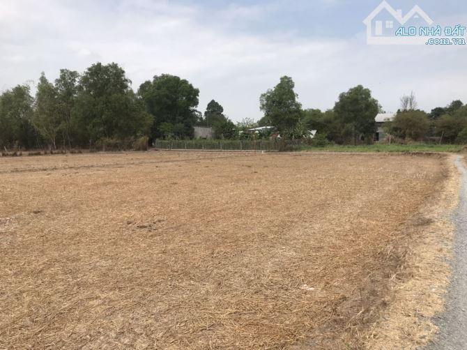 Ngộp bán lỗ MT đường nhựa Nhơn Trạch, giá rẻ 5tr, thổ cư. KD, trọ, kho xưởng. Gọi ngay 24H - 1