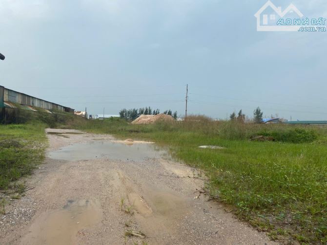Bán 10.000m² đất thổ cư + trang trại tổng hợp cực đẹp tại Đông Sơn, Đông Hưng, TB - 1