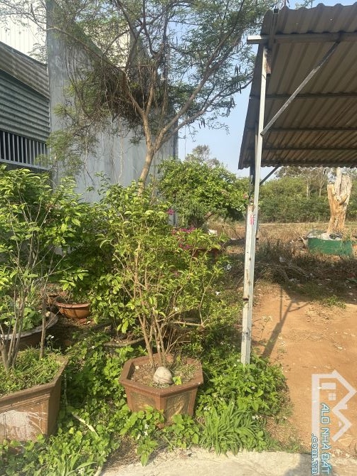 HÀNG HOT CHO ANH EM ĐẦU TƯ hẻm 144 Đỗ Xuân Hợp P. TÂN LỢI, TP BMT - 2