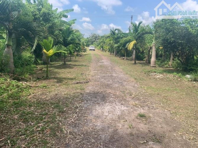 Bán 10.000m² đất thổ cư + trang trại tổng hợp cực đẹp tại Đông Sơn, Đông Hưng, TB - 2