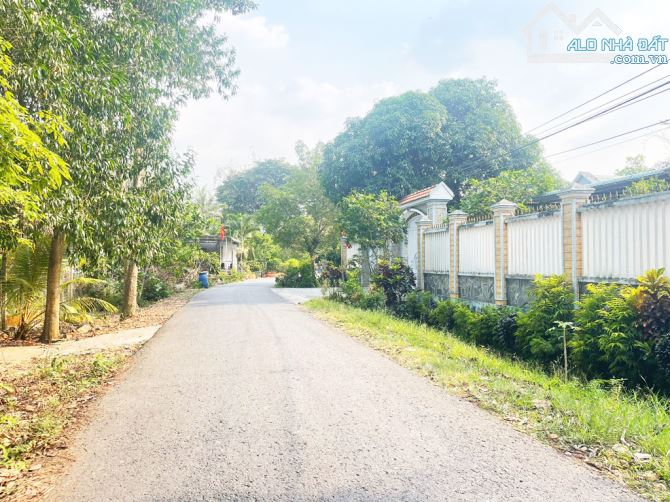 Bán nhà vườn đường 695 - 597m2 - 14x43 - 300m2 thổ cư - xã Thái Mỹ - Củ Chi - 2