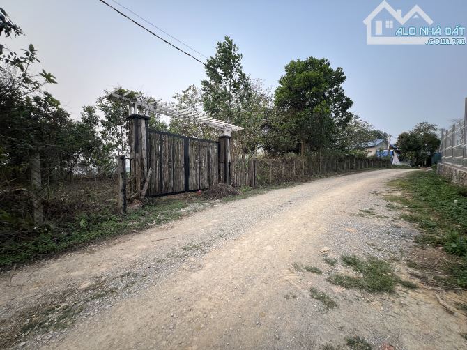 Bán 6000m2 đất view đẹp, giá rẻ tại Cư Yên, Lương Sơn, Hoà Bình - 2