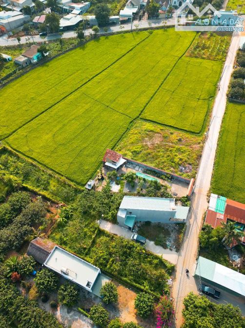 ĐẤT BÌNH LỢI - KHU LONG CHIẾN SIÊU ĐẸP - 3
