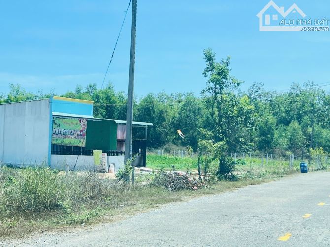 Cần bán gấp hơn 4000m2 dân cư đông đường nhựa sổ sẵn giá cực rẻ 1ty150 - 3