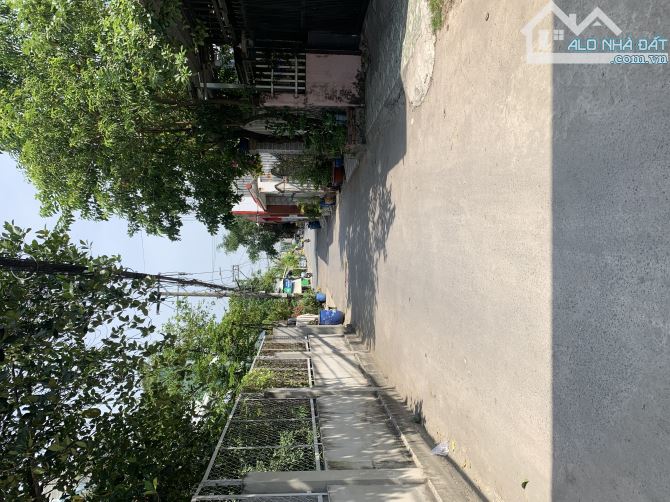 Đất đường cầu xây 2 tân phú Q9 175m2 sổ riêng giá rẻ, đường thông tứ hướng - 3