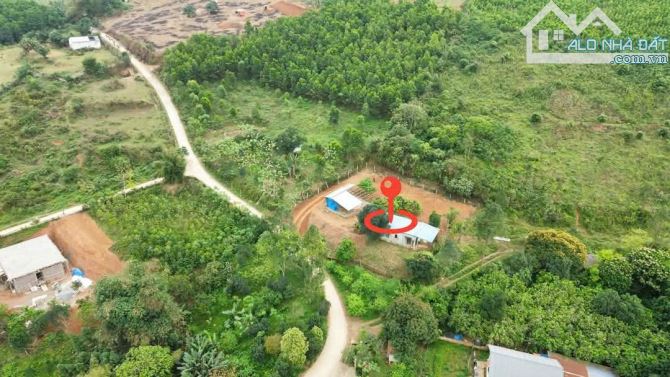 CẦN BÁN GẤP 825M ĐẤT THỔ CƯ XÃ CAO SƠN GIÁ ĐẦU TƯ - 3