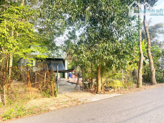 Bán nhà vườn đường 695 - 597m2 - 14x43 - 300m2 thổ cư - xã Thái Mỹ - Củ Chi - 3