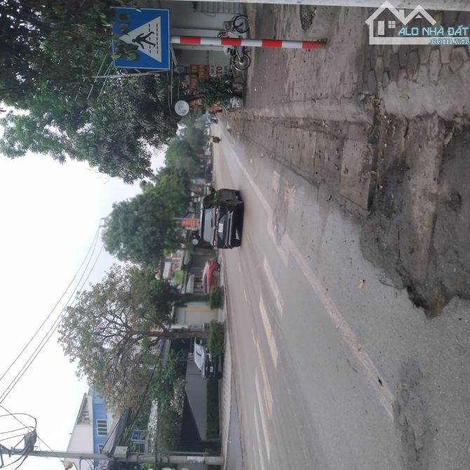 TRỤC CHÍNH KINH DOANH ĐINH -TỔ 20 -THỊ TRẤN ĐÔNG ANH - 5