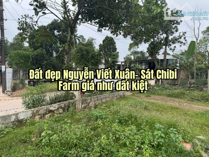 Bán Đất MT Rộng Rẻ Đẹp Đường Nhựa  Nguyễn Viết Xuân 340m2 - Hương Thuỷ -Huế