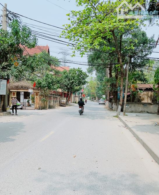 HOA HẬU NAM HỒNG SIÊUu ĐẸP Ô TÔ NGỦ TRONG ĐẤT 57M ZÁ RẺ