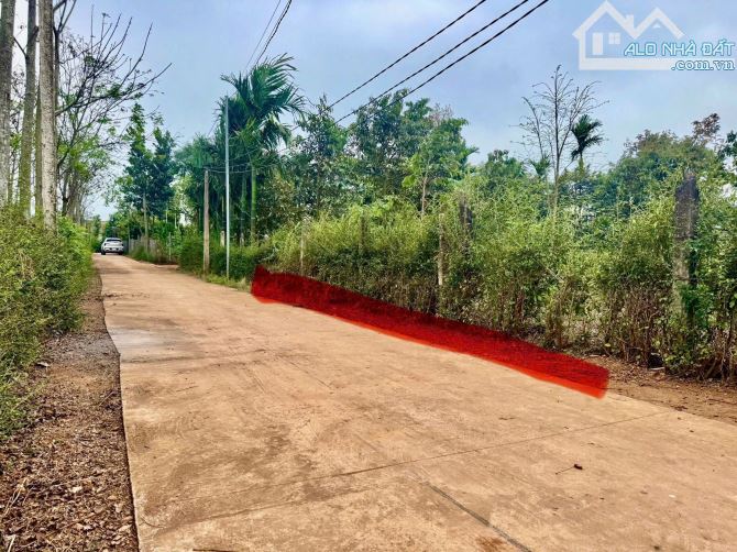 Đất giá rẻ gần chợ Việt Đức 3 và trường học