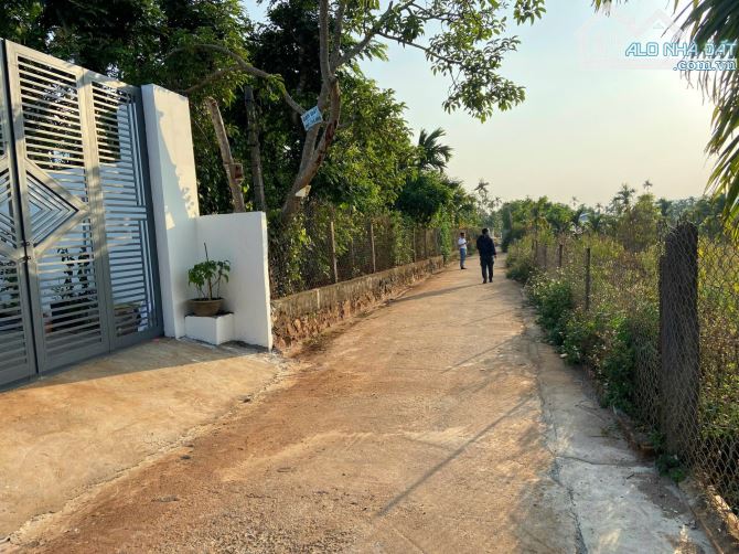 Bán lỗ 02 lô liền kề tại Ea Tiêu giáp ranh Hoà Thắng gần đường Hồ Chí Minh