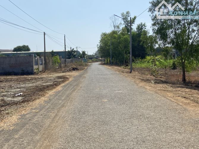 1262m2 thị trấn Đất Đỏ, BRVT. Sổ riêng, tc 100m2. Giá thương lượng mạnh. - 1
