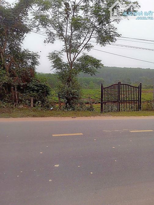 BÁN ĐẤT TẶNG NHÀ CẤP 4 TRỤC CHÍNH XÃ BA- HUYỆN DÔNG GIÁNG- QUẢNG NAM. - 1