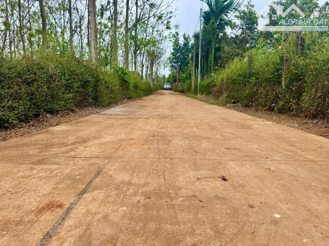 Đất giá rẻ gần chợ Việt Đức 3 và trường học - 1