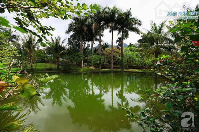 Bán đất trang trại - Đông Sơn,có thể phân lô,tiềm năng sinh lời cao,DT:10945m, giá: 7.6tỉ - 1