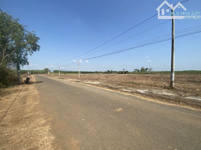 1262m2 thị trấn Đất Đỏ, BRVT. Sổ riêng, tc 100m2. Giá thương lượng mạnh. - 2