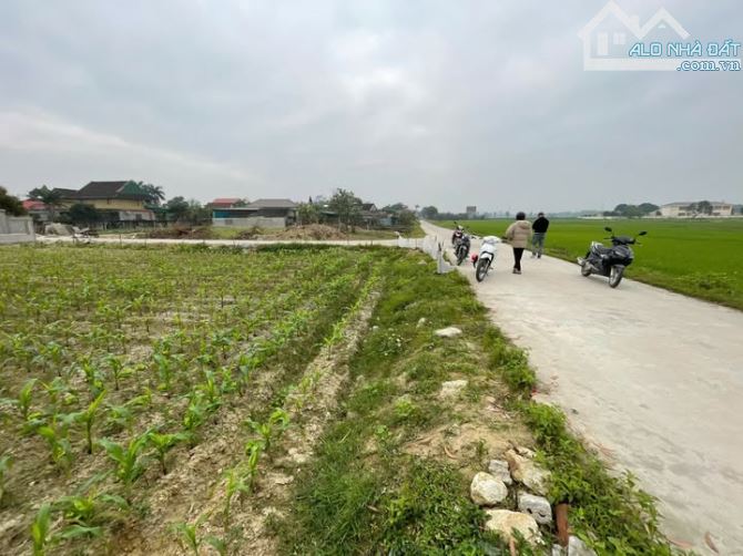 Cần bán đất nền - Nghi Trường tiềm năng sinh lời cao. gần trường học , uỷ ban xã - 2