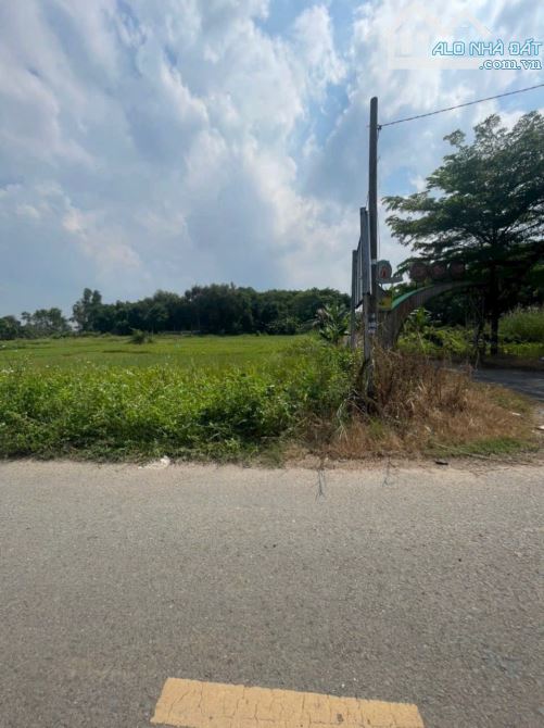 Cần bán 1853 m2 đất hai mặt tiền đường thới tam thôn hóc môn giá 12,9 tỷ - 2