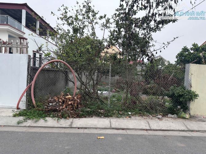 Bán đất Xuân Đông - Ngũ Phúc - Kiến Thụy - Hải Phòng - 2