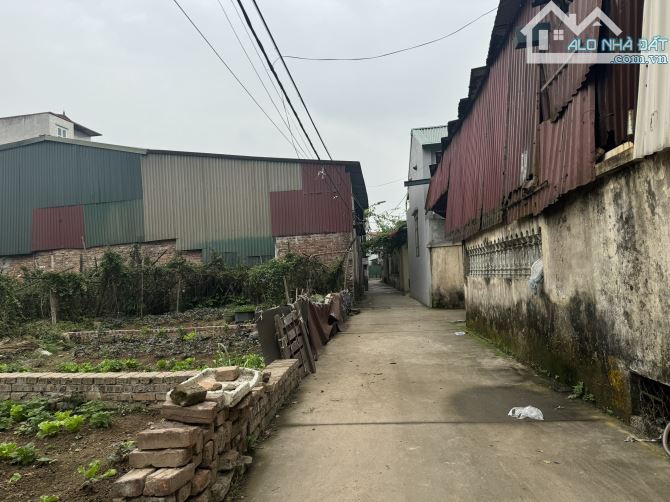 CẦN TIỀN BÁN GẤP LÔ ĐẤT 43,9M² – KHU PHỐ KIM THIỀU – GIÁ CHỈ 1,1 TỶ - 2