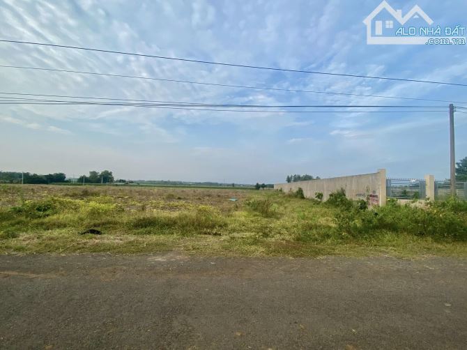 1262m2 thị trấn Đất Đỏ, BRVT. Sổ riêng, tc 100m2. Giá thương lượng mạnh. - 3