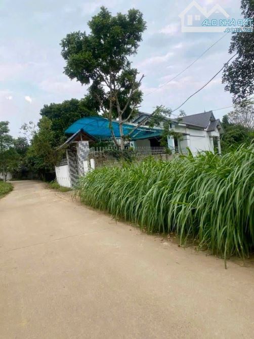 Cần Thanh Khoản Gấp Lô Đất Sẵn Nhà Vườn Đẹp Tại Vân Hoà, Ba Vì, Giá Siêu Tốt - 3
