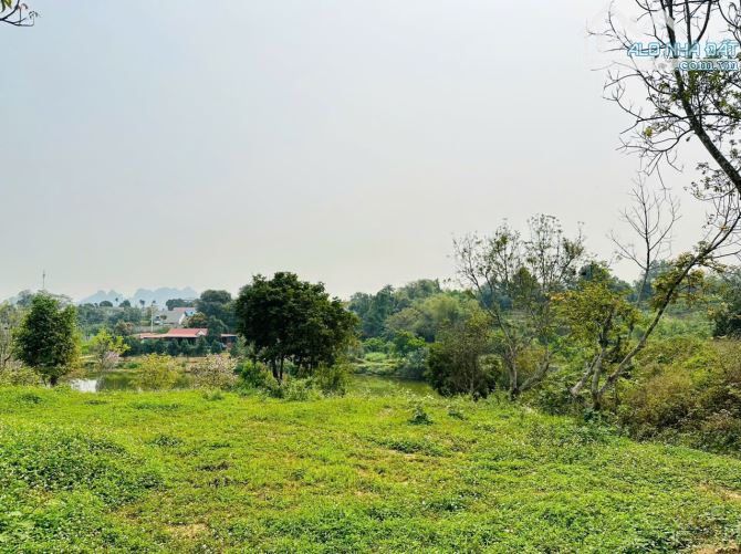 BÁN NHANH SIÊU PHẨM CÓ DT 1250m2 LÔ GÓC 3 MẶT TIỀN VIEW ĐẸP TRIỆU ĐÔ - 3