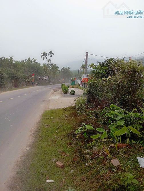 BÁN ĐẤT TẶNG NHÀ CẤP 4 TRỤC CHÍNH XÃ BA- HUYỆN DÔNG GIÁNG- QUẢNG NAM. - 4