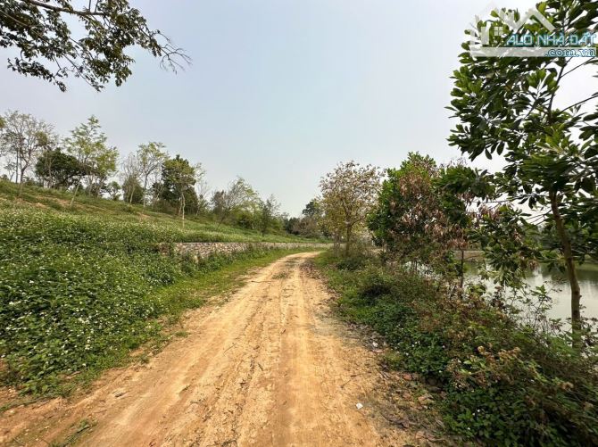 BÁN NHANH SIÊU PHẨM CÓ DT 1250m2 LÔ GÓC 3 MẶT TIỀN VIEW ĐẸP TRIỆU ĐÔ - 4