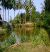 Bán đất trang trại - Đông Sơn,có thể phân lô,tiềm năng sinh lời cao,DT:10945m, giá: 7.6tỉ
