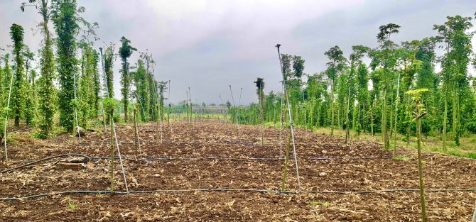 Bán Đất 2327m2, đường ô tô 1 sẹc đường Tỉnh Lộ 764, Xuân Tây, Cẩm Mỹ, Đồng Nai - 1