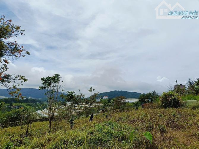 Đất BIỆT THỰ Măng linh- đường be tông oto - P7 Đà lạt. - 265m2- 4 tỷ view đẹp - 1