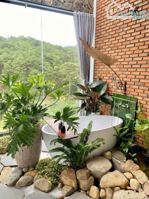 BÁN VILLA HOÀNG HOA THÁM VIEW ĐẸP THU NHẬP 160TR/TH - 1