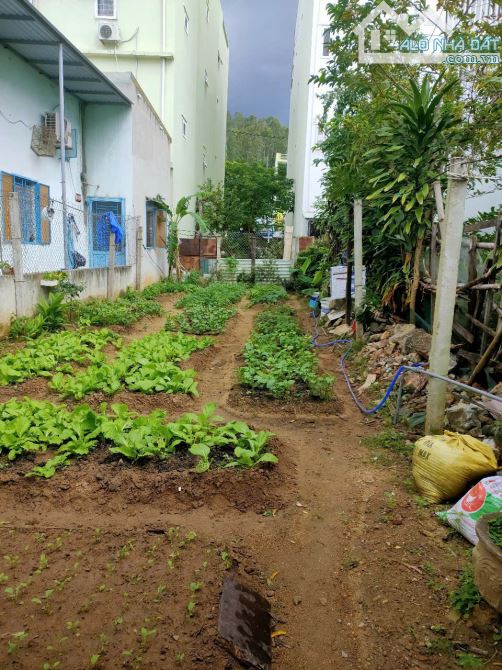 Chính chủ bán lô đất gần biển đường Thành Vinh 2, Sơn Trà, Đà Nẵng - 1
