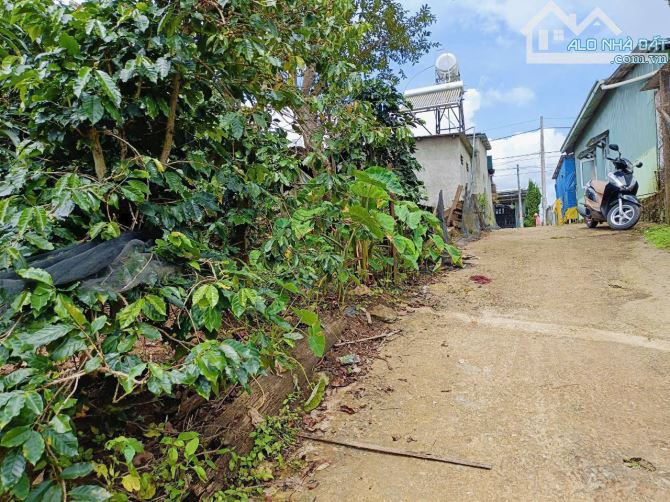 Đất BIỆT THỰ Măng linh- đường be tông oto - P7 Đà lạt. - 265m2- 4 tỷ view đẹp - 2