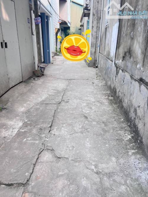 Bán gấp mảnh đất Liên Ninh diện tích rộng giá đầu tư 4.1 tỷ (chủ thở ô xy ) - 2